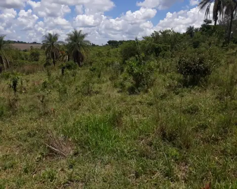 SÍTIO COM BOA LOCALIZAÇÃO, REGIÃO DE MALHADOURO PATROCÍNIO-MG