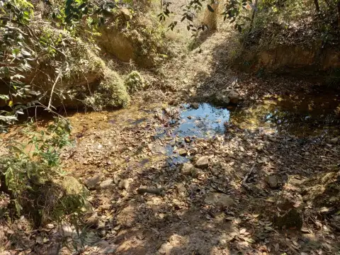 SITIO PARA PLANTIO OU PASTO ENTRE PATROCÍNIO E COROMANDEL
