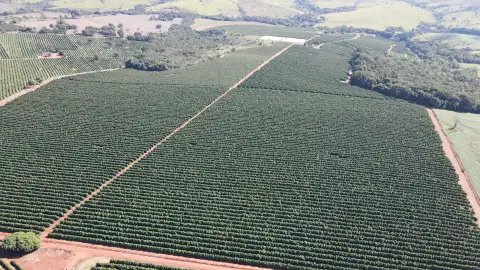 FAZENDA EM BOA VISTA, COROMANDEL - FA00209