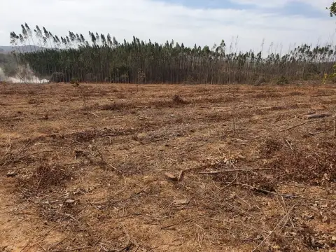 FAZENDA PARA GADO E PLANTIO ENTRE COROMANDEL E PATROCINIO