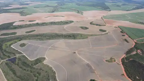 FAZENDA CANAVIEIRA EM VEREDAS, MUNICÍPIO DE JOÃO PINHEIRO