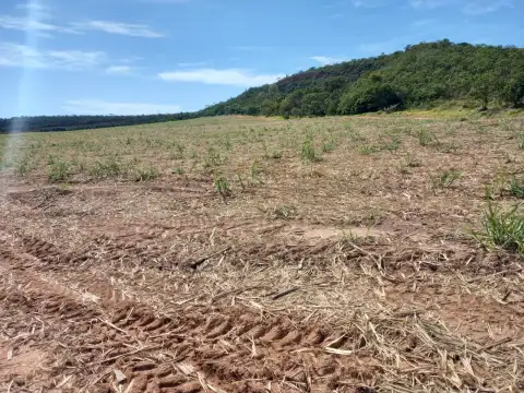FAZENDA CANAVIEIRA EM VEREDAS, MUNICÍPIO DE JOÃO PINHEIRO