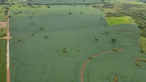 FAZENDA EM LAVOURA BRANCA NA ZONA RURAL DE COROMANDEL/MG