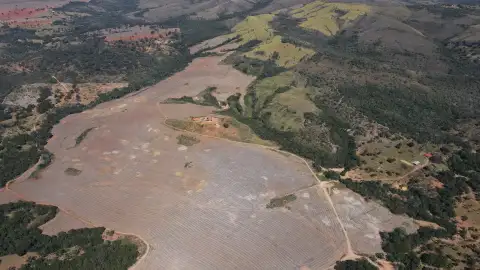 FAZENDA DE 202 HECTARES DUPLA APTIDÃO