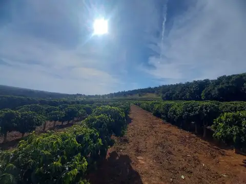 FAZENDA PARA PLANTIO DE CAFÉ EM PATROCÍNIO/MG