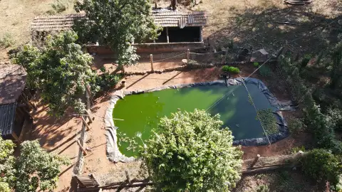 FAZENDA PARA PLANTIO DE CAFÉ EM PATROCÍNIO/MG