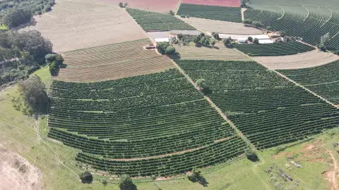 FAZENDA DE CAFÉ NA REGIÃO DE MACAÚBAS DE BAIXO