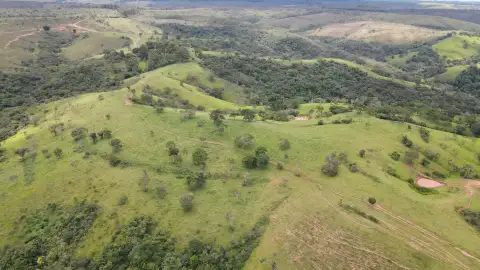 EXCELENTE FAZENDA PARA GADO NA REGIÃO DO PANTANO