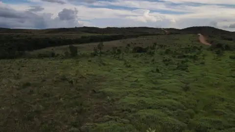 FAZENDA DE OPORTUNIDADE - ALTITUDE IDEAL PARA CULTIVO DE CAFÉ