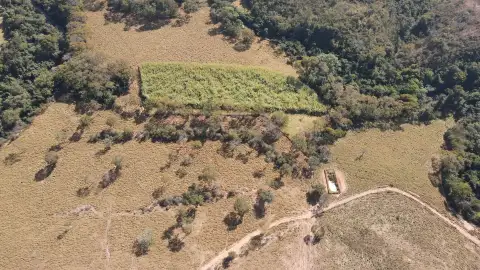 FAZENDA EM PANTANO, PATOS DE MINAS