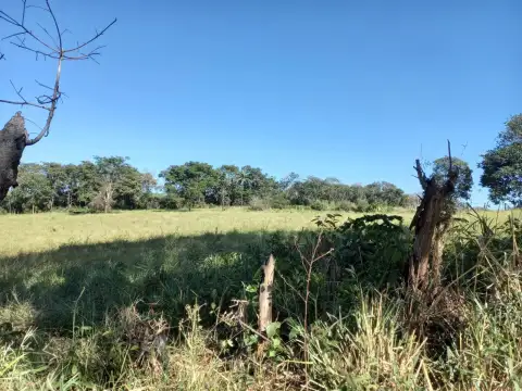 FAZENDA EM SÃO BENEDITO, PATROCÍNIO