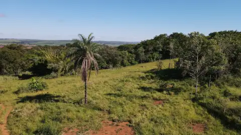 FAZENDA EM SÃO BENEDITO, PATROCÍNIO
