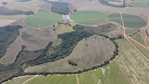 FAZENDA EM PERDIZES