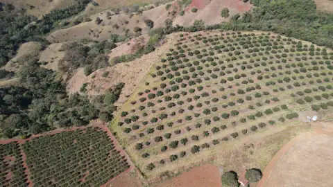 SÍTIO NO CHAPADÃO DE FERRO