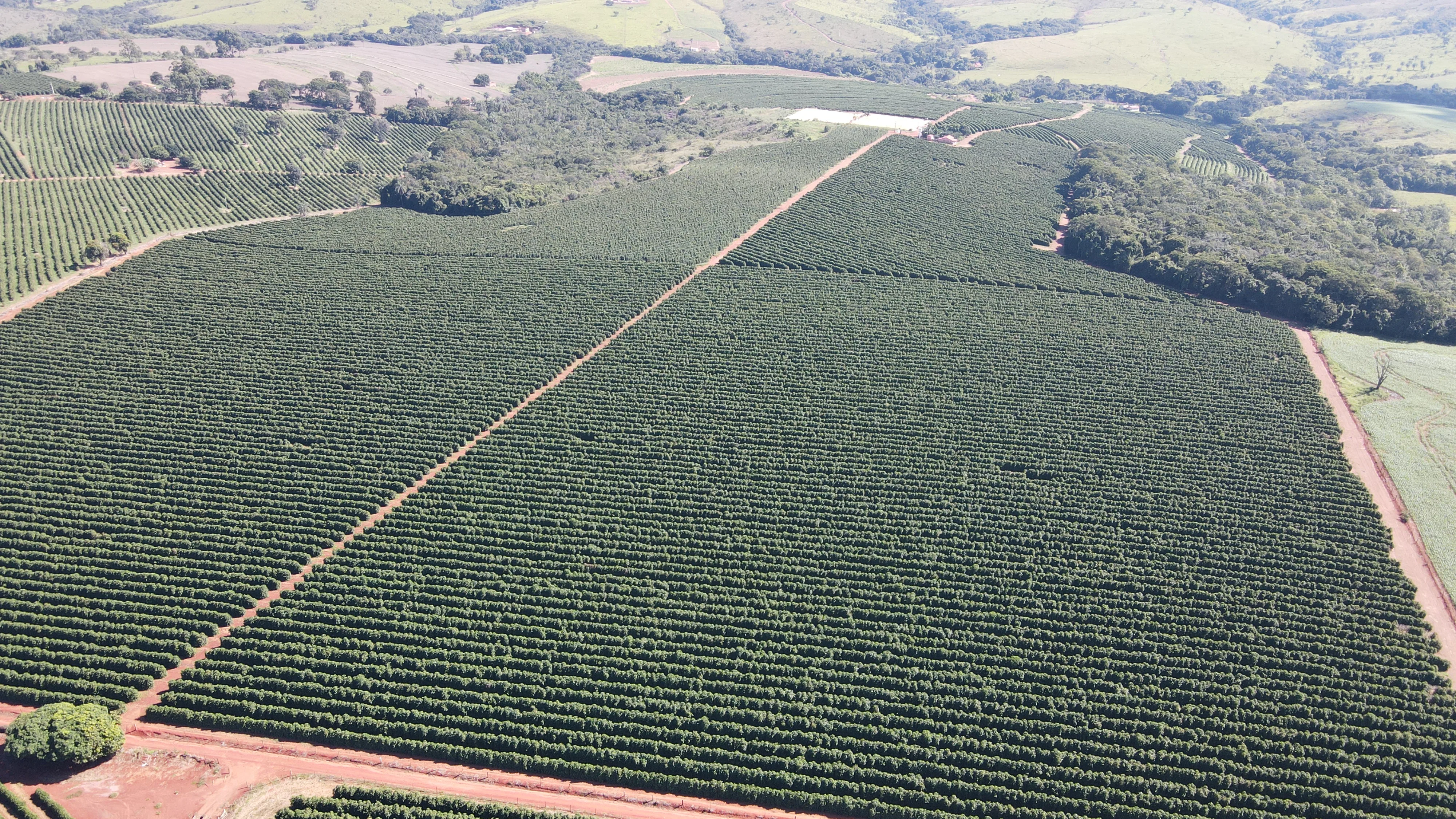 FAZENDA EM BOA VISTA, COROMANDEL - FA00209