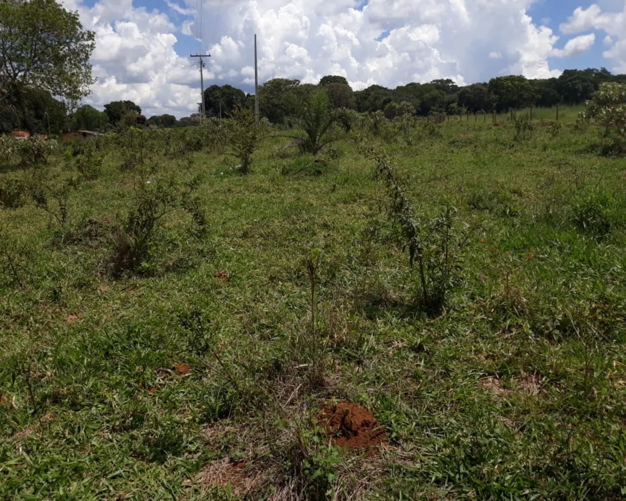 SÍTIO COM BOA LOCALIZAÇÃO, REGIÃO DE MALHADOURO PATROCÍNIO-MG