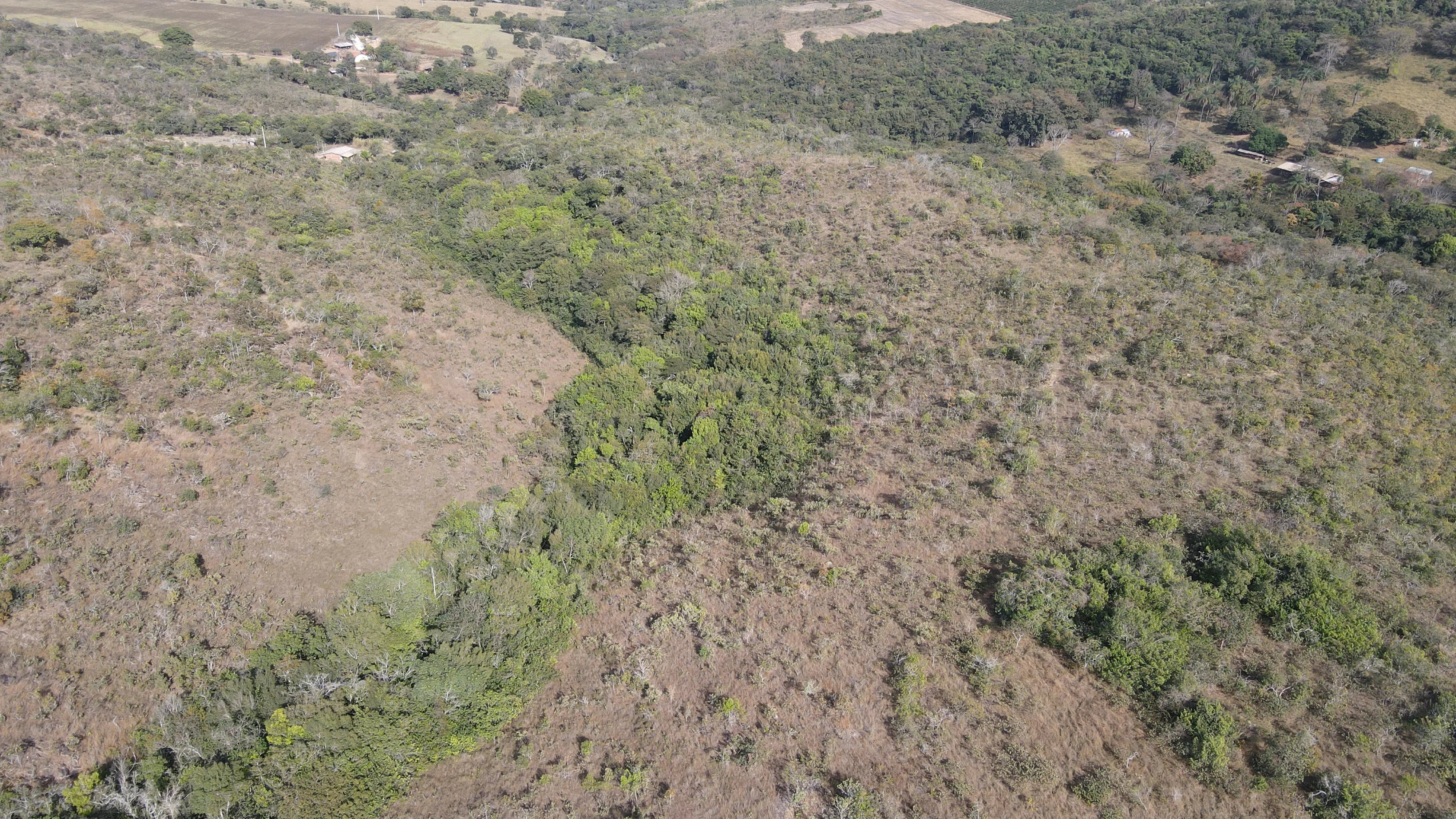 FAZENDA DUPLA APTIDÃO NA REGIÃO DE SANTO ANTONIO DA LAGOA SECA EM PATROCÍNIO MG