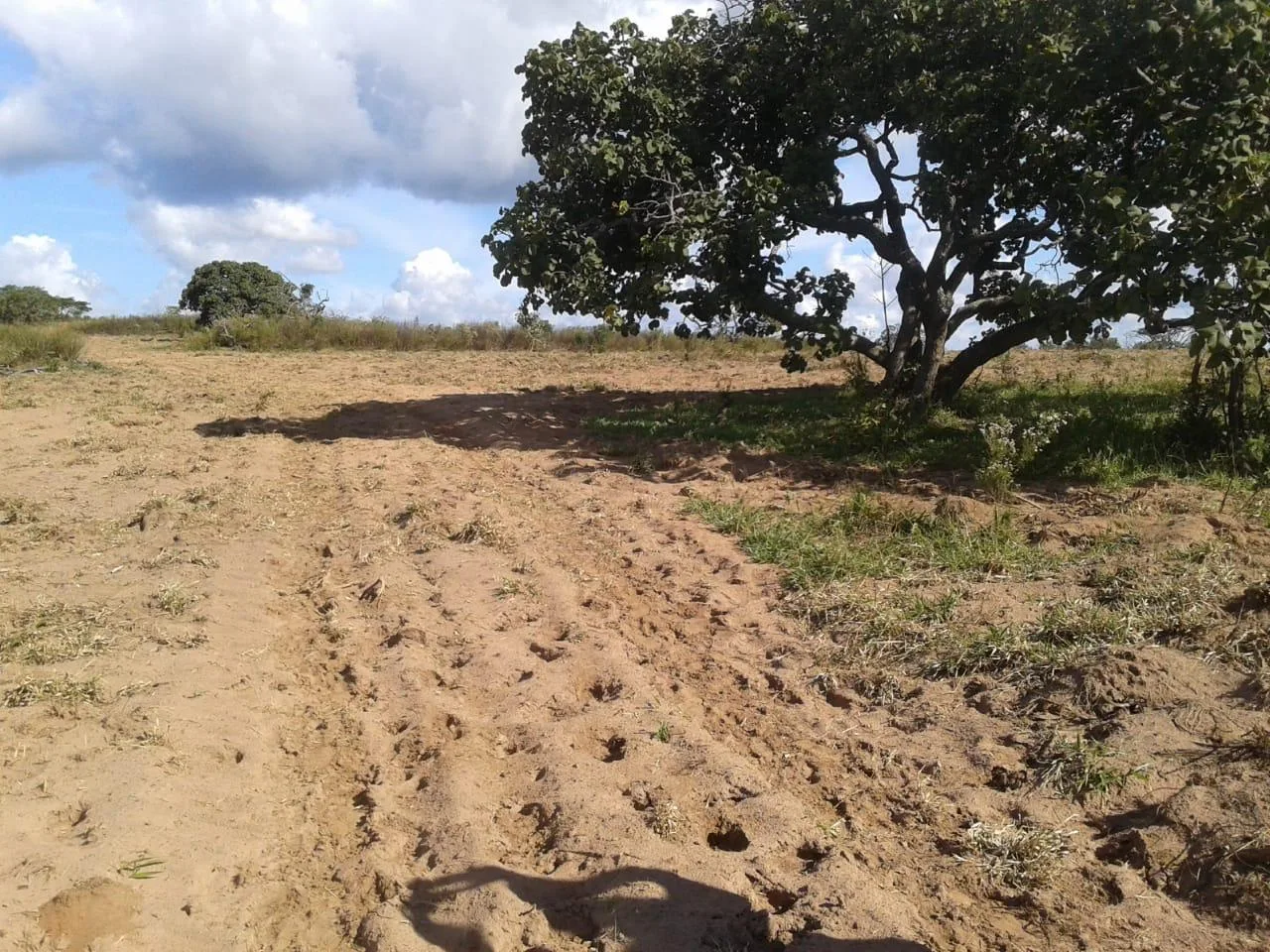 FAZENDA EM CHAPADÃO DE FERRO, PATROCÍNIO - FA00158