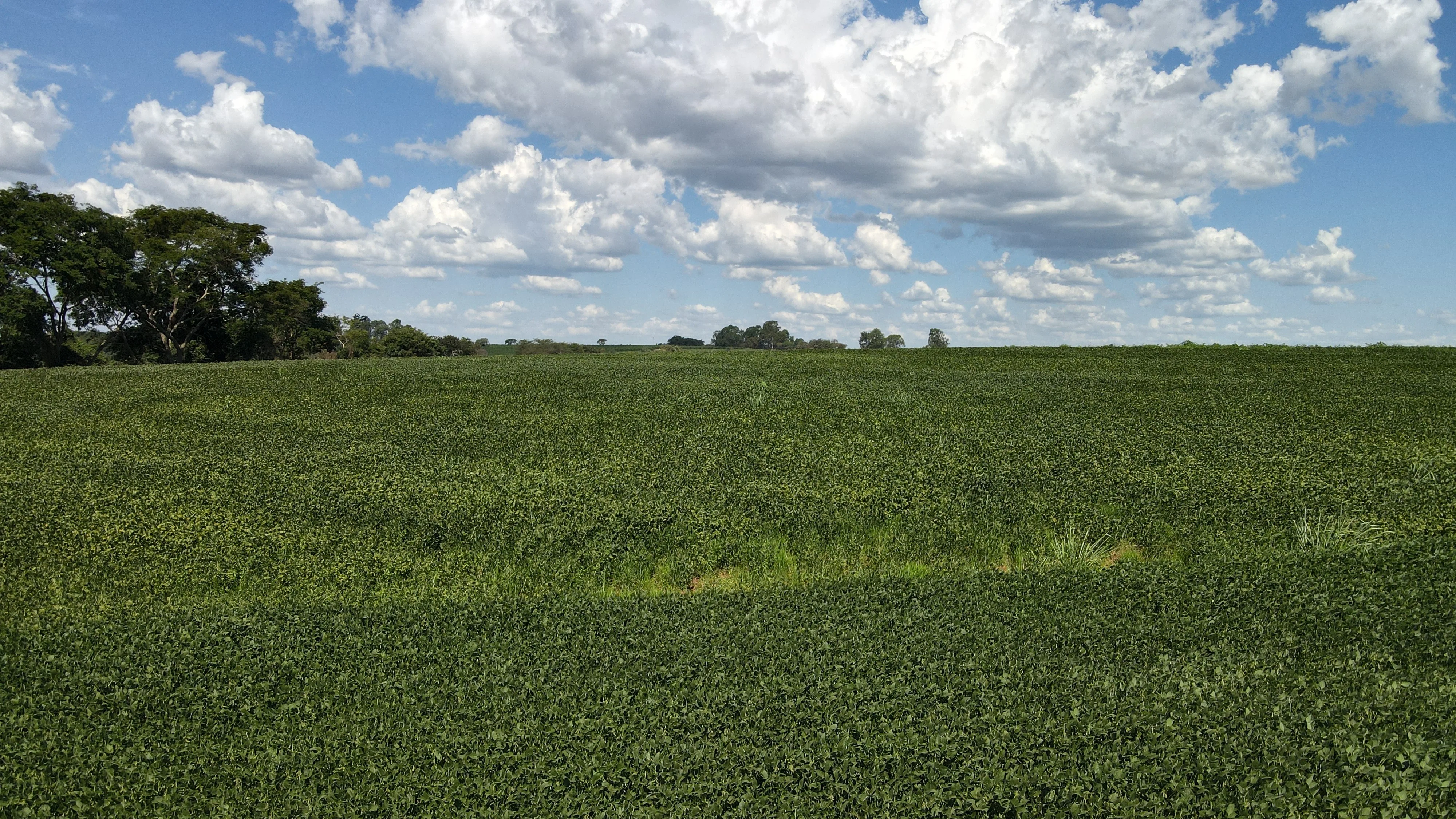 EXCELENTE FAZENDA NA REGIÃO DE SANTA LUZIA DOS BARROS EM PATROCÍNIO- MG.