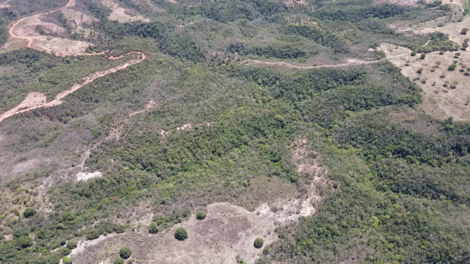 EXCELENTE FAZENDA AGRICULTÁVEL EM PRESIDENTE OLEGÁRIO/MG