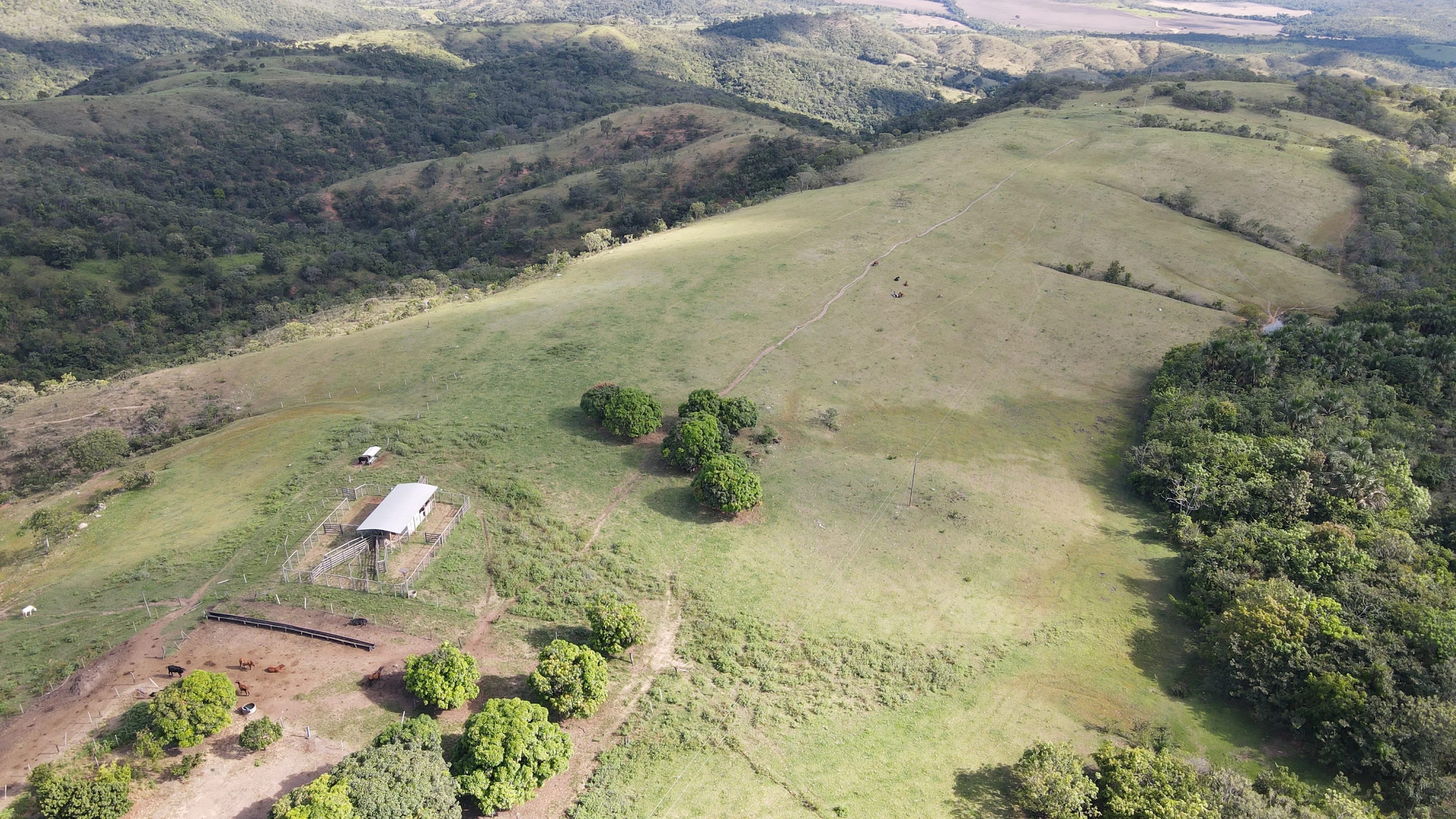 EXCELENTE FAZENDA COM DUPLA APTIDÃO EM VAZANTE/ MG - 360 HECTARES
