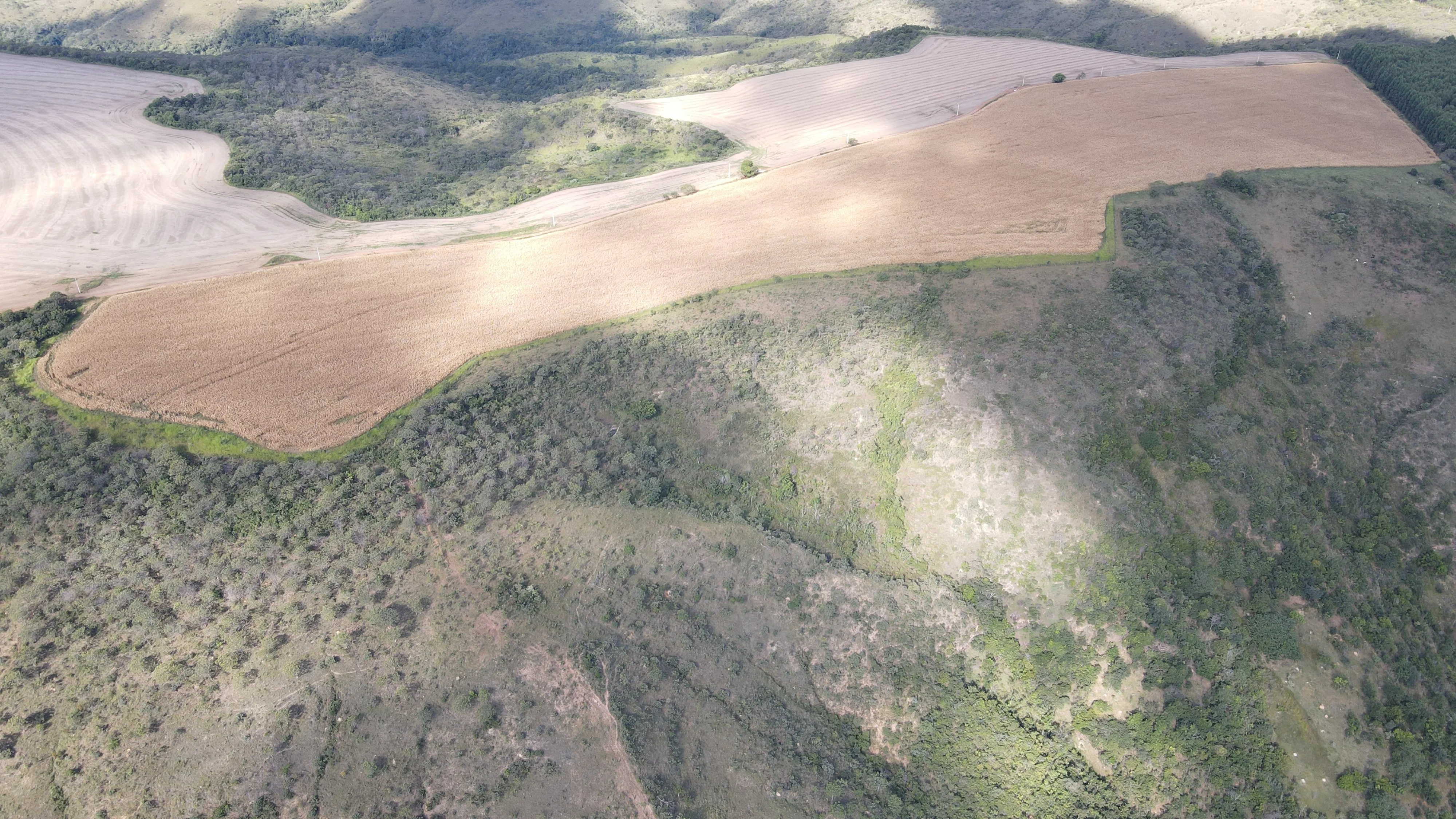 EXCELENTE FAZENDA COM DUPLA APTIDÃO EM VAZANTE/ MG - 360 HECTARES