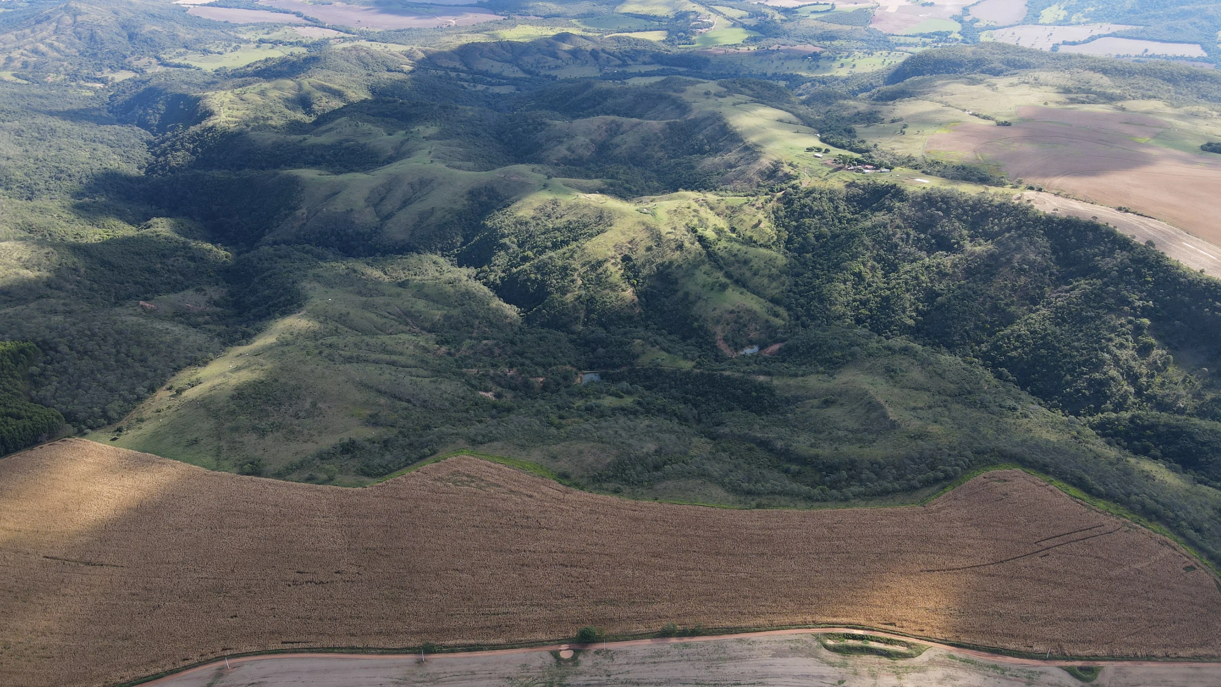 EXCELENTE FAZENDA COM DUPLA APTIDÃO EM VAZANTE/ MG - 360 HECTARES