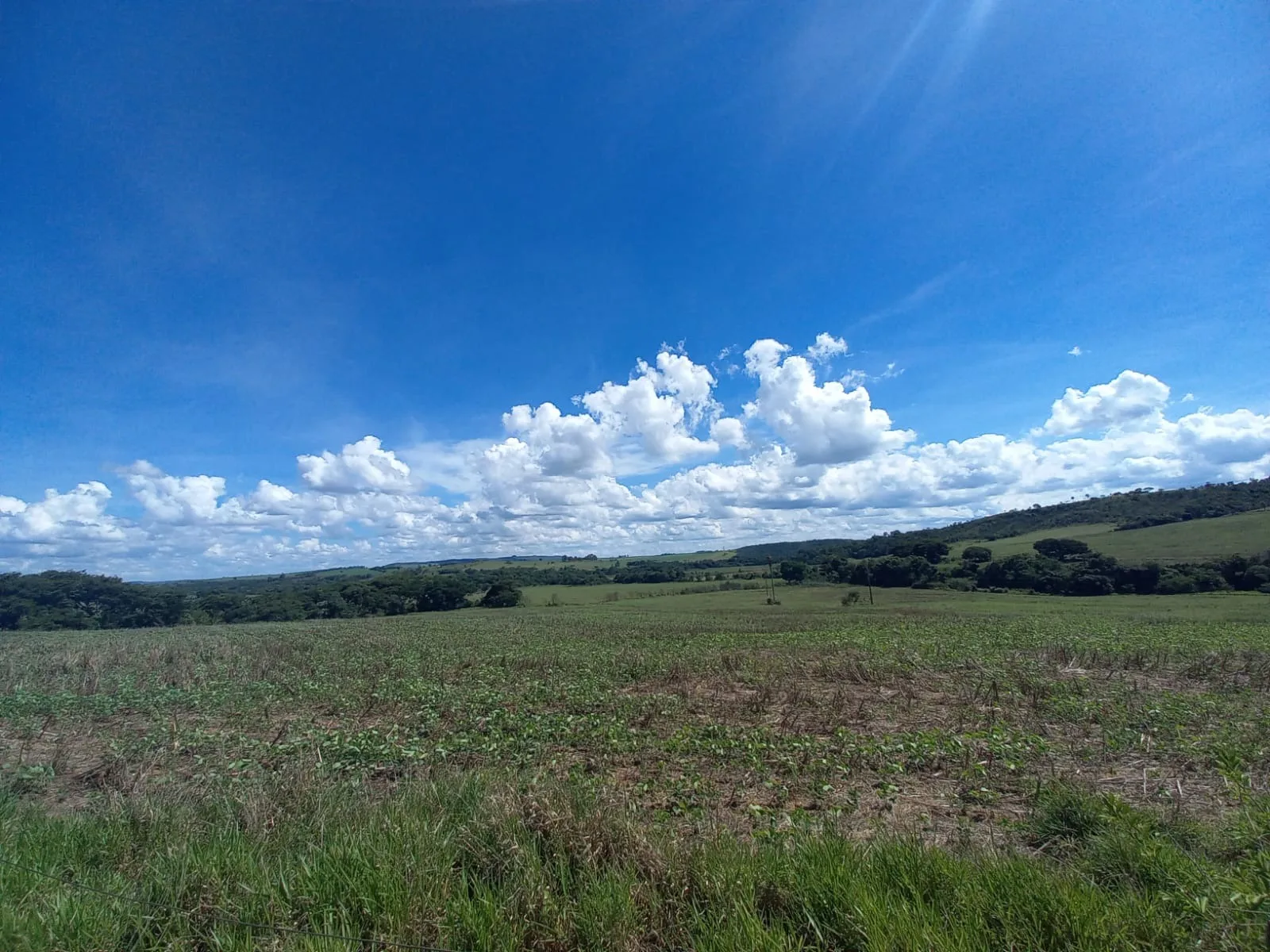 FAZENDA DE DUPLA APTIDÃO - SERRA DO SALITRE/MG