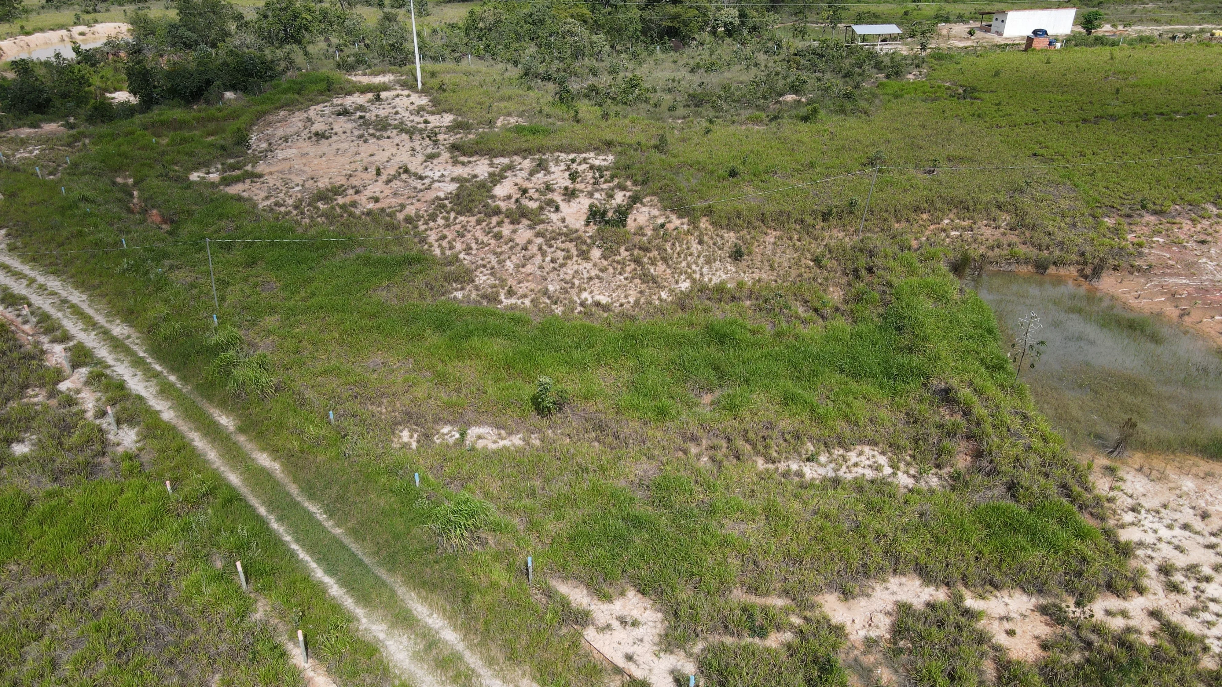 CHACARA EM MATINHA, MONTE CARMELO