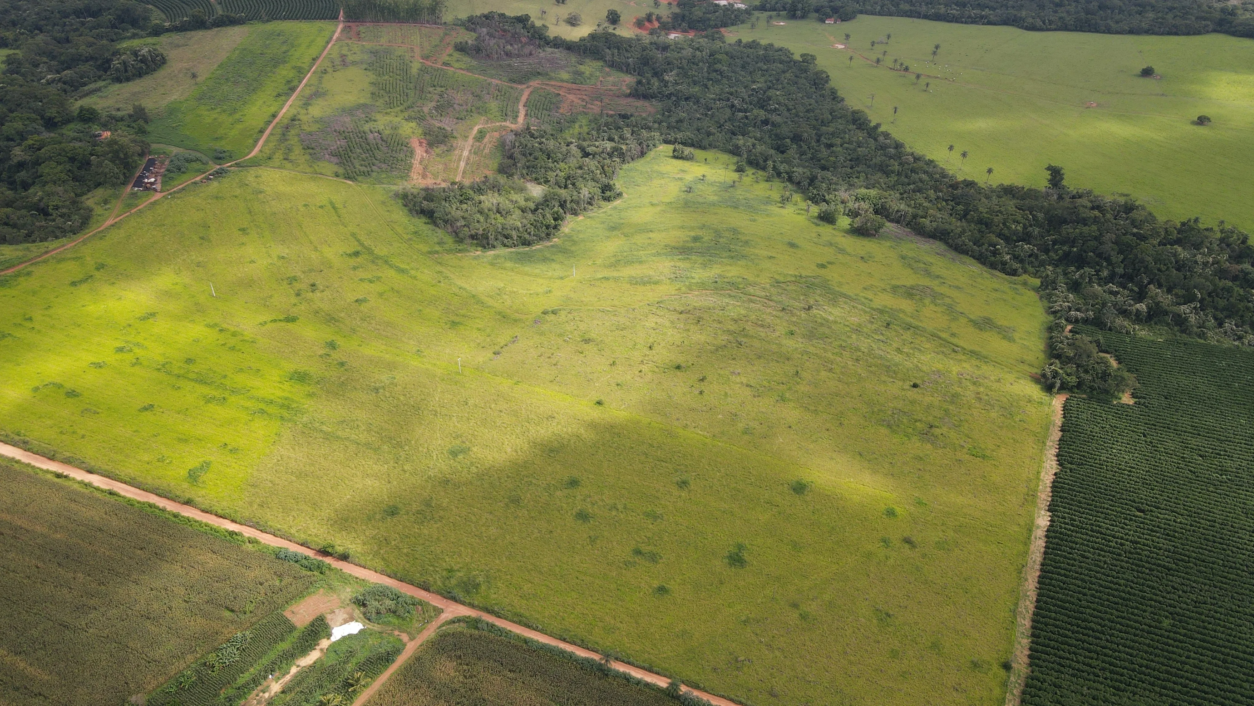 FAZENDA EM MOREIRAS, PATROCÍNIO