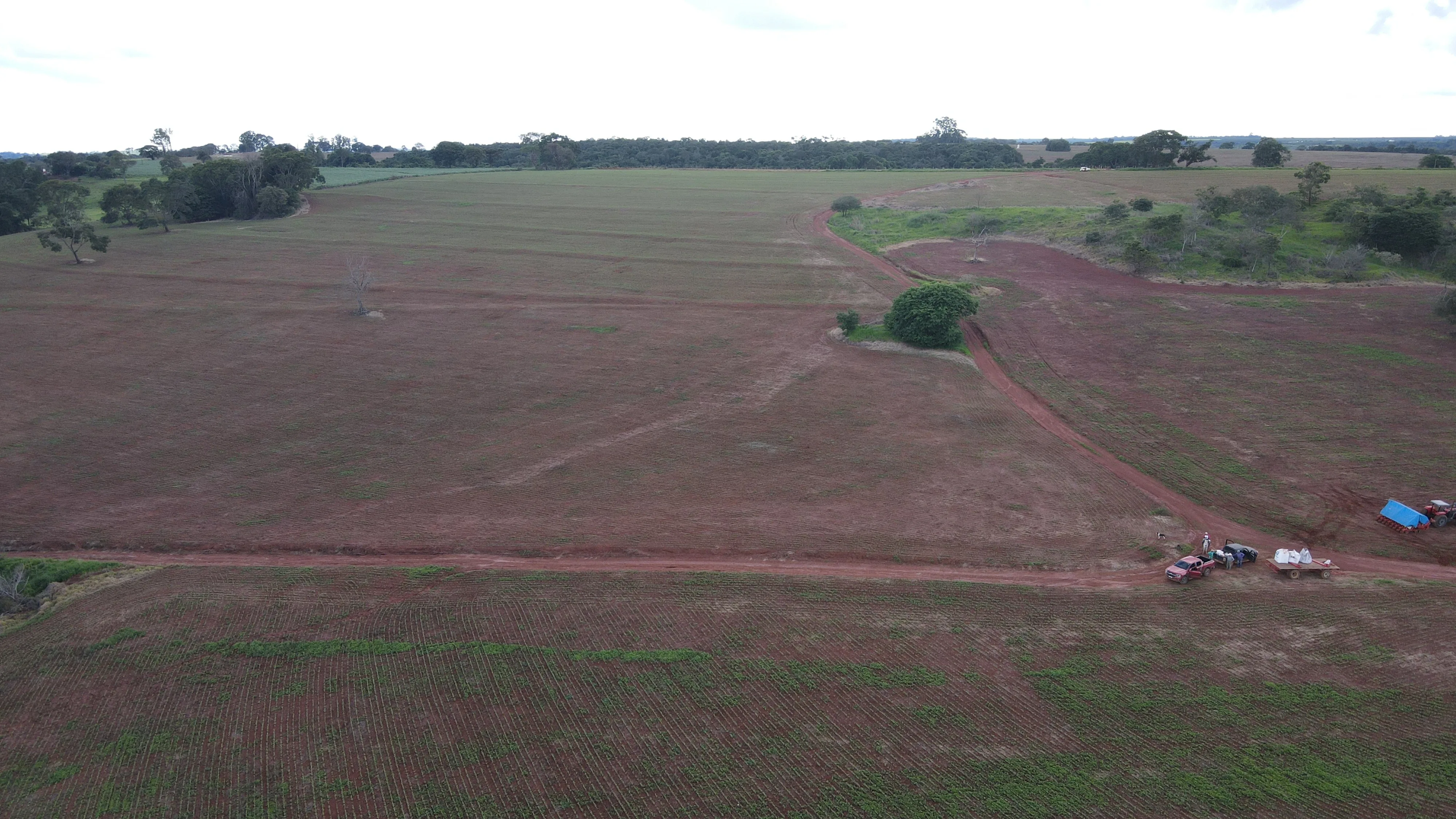 FAZENDA EM PANTANO, PATOS DE MINAS