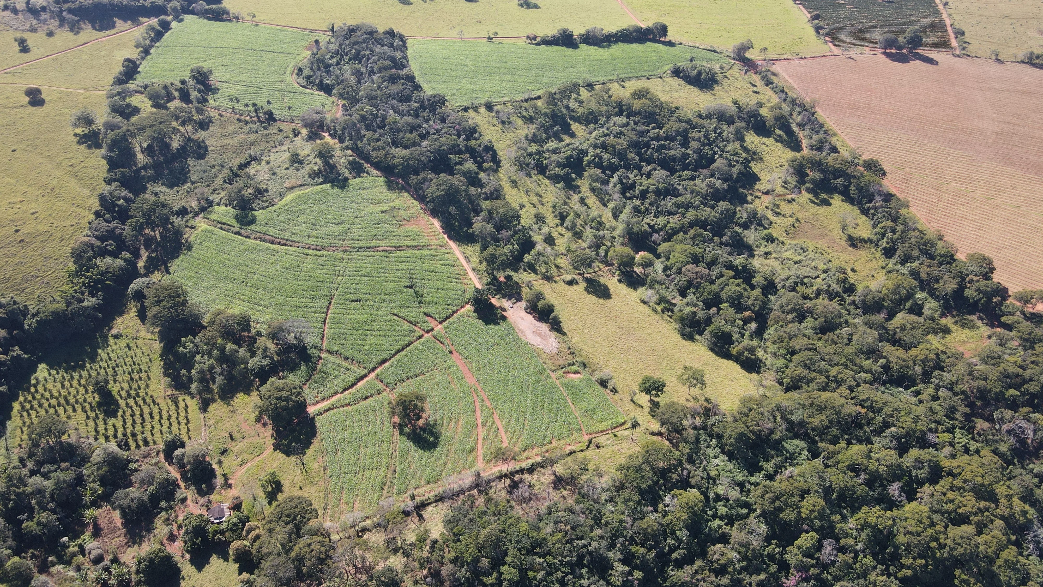 FAZENDA EM SÃO BENEDITO, PATROCÍNIO
