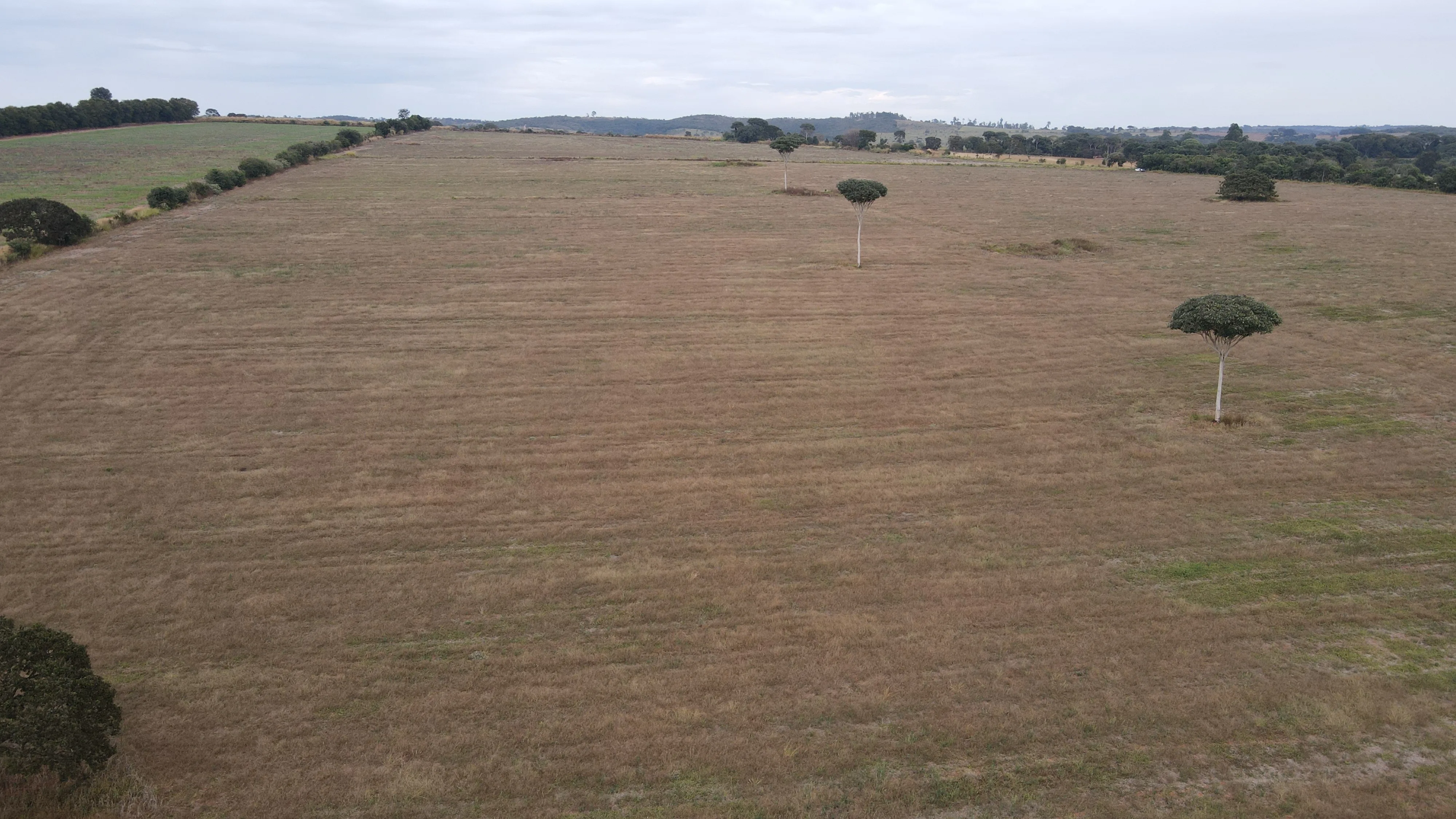 FAZENDA EM ZONA RURAL DE COROMANDEL, COROMANDEL