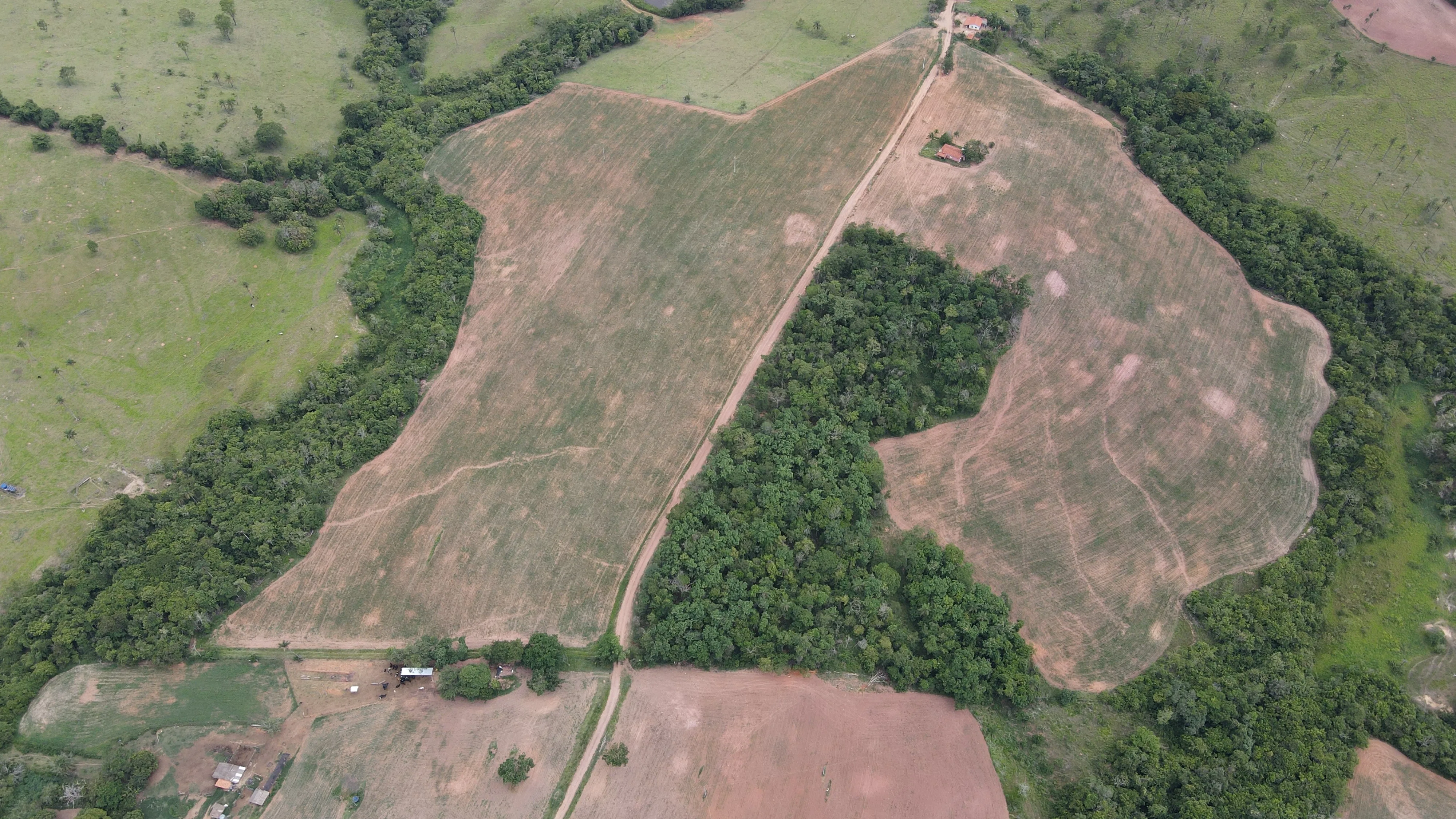 FAZENDA PARA PLANTIO NA REGIÃO DE SILVANO, EM PATROCÍNIO/MG.