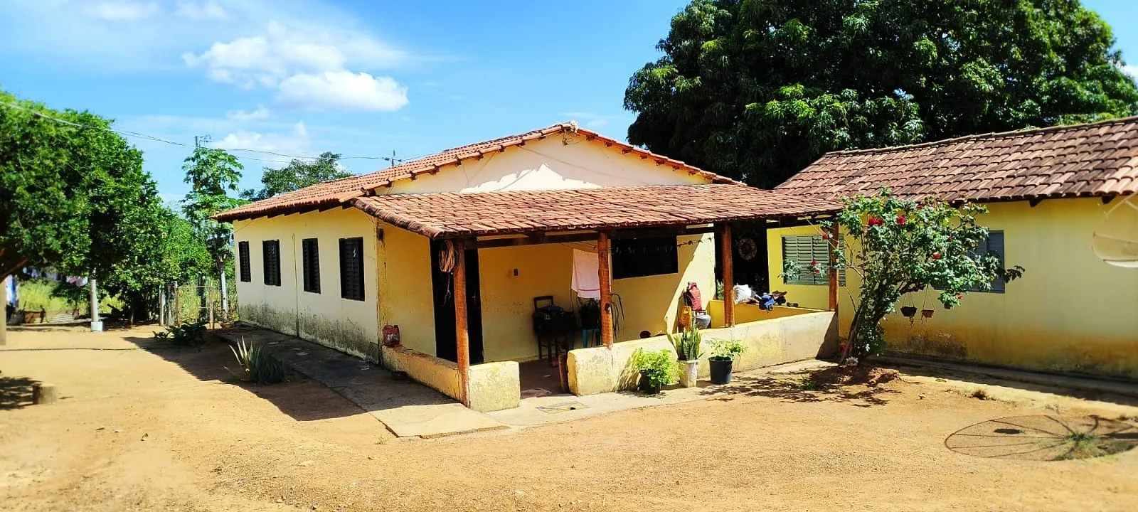 FAZENDA DUPLA APTIDÃO A VENDA EM LAGAMAR - MG