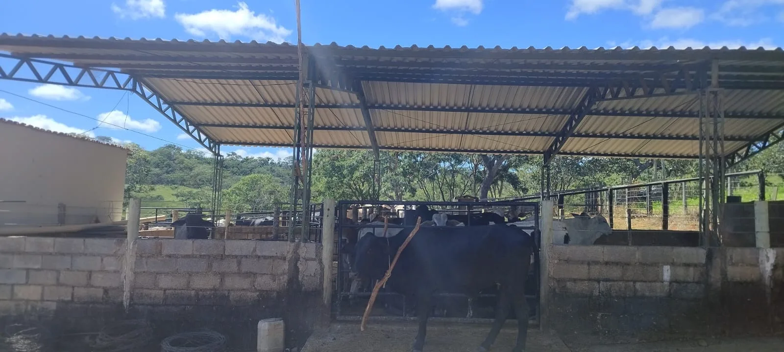FAZENDA DUPLA APTIDÃO A VENDA EM LAGAMAR - MG